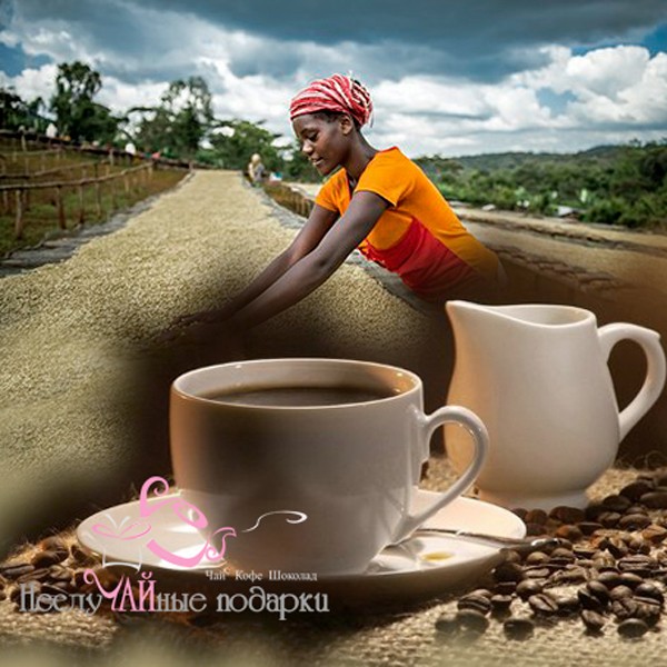 Эфиопия Мокко Иргачифф кофе в зернах