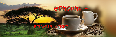 Какой кофе самый вкусный или где он - настоящий кофе из Эфиопии?